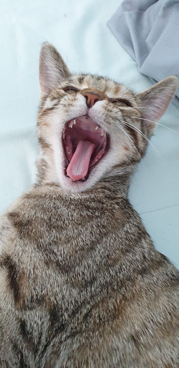 sleepy
