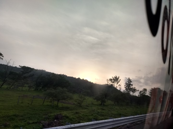 nature