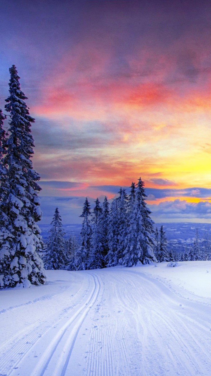 Winter