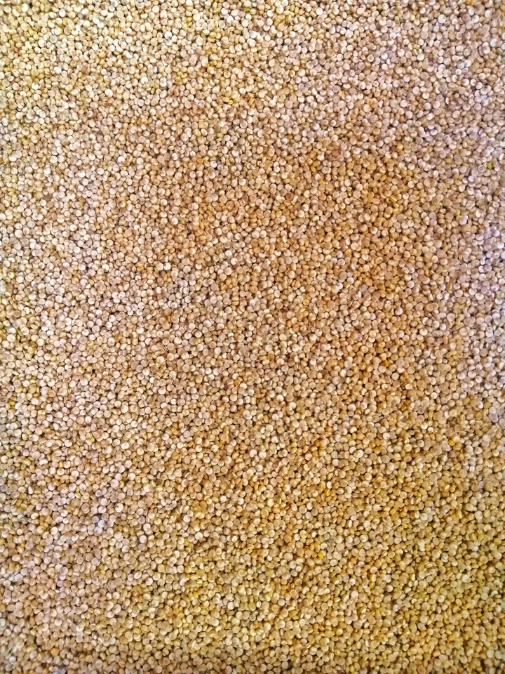 Quinoa