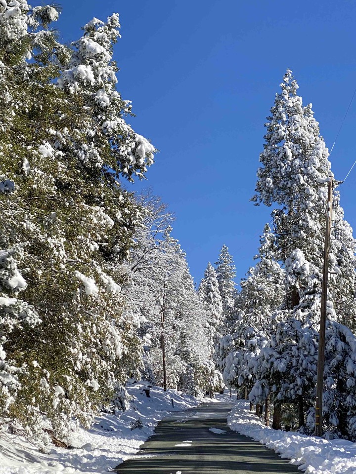 winter road