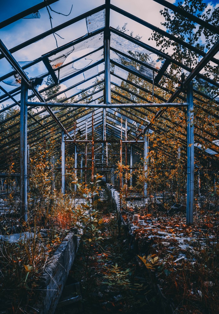 Заброшенные теплицы