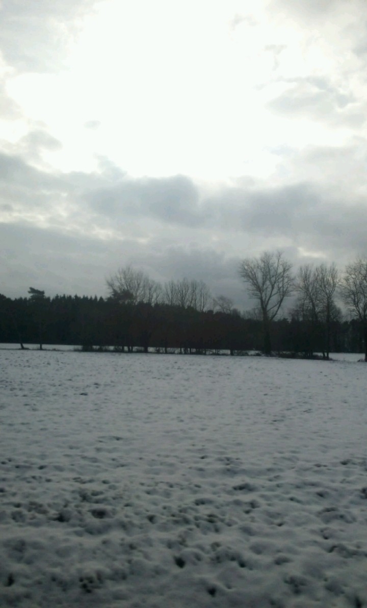 Winter