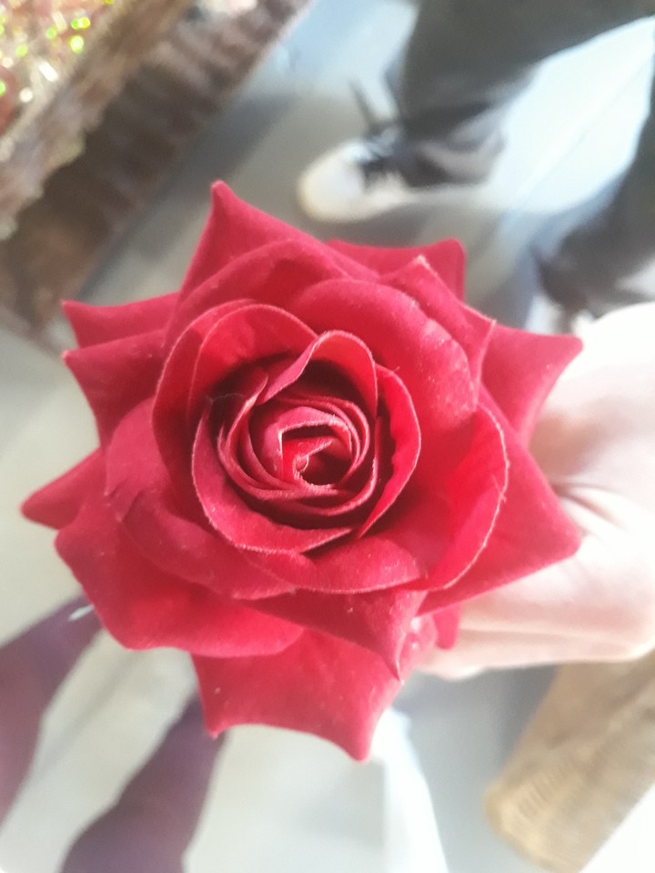 Rose