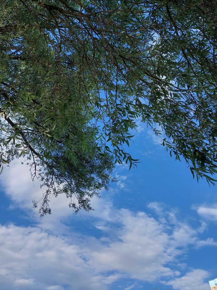 sky