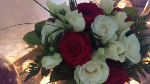 roses