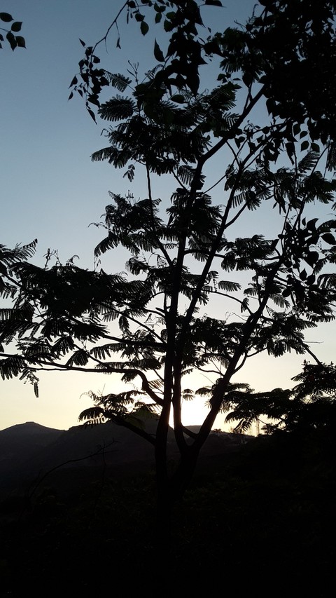 Shadowy World.