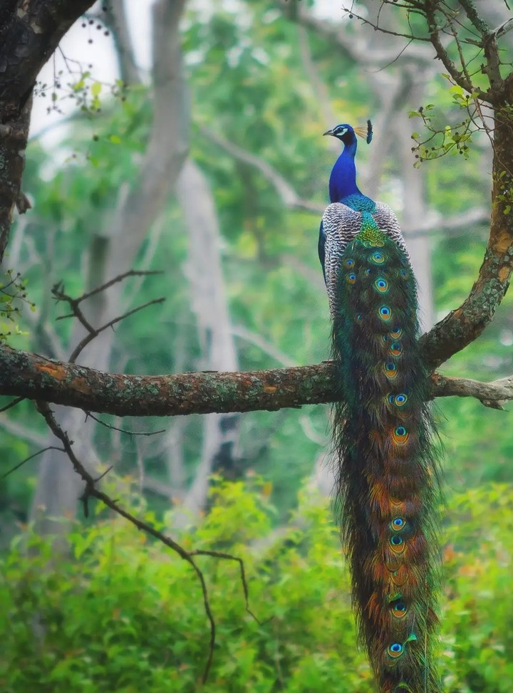 beautiful picture