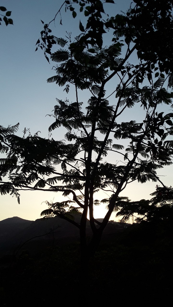 Shadowy World.