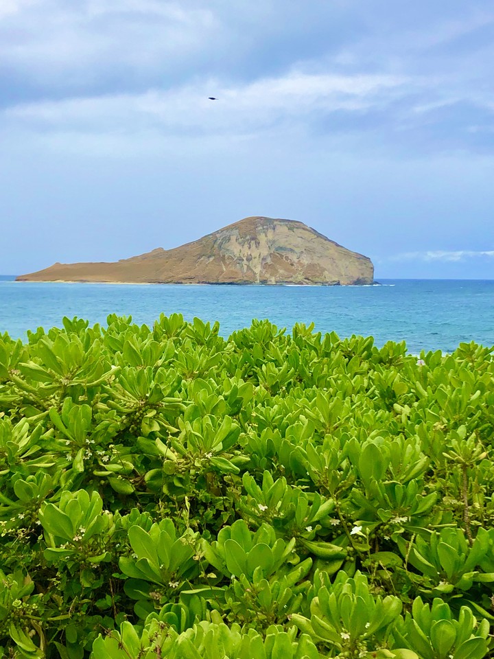 Isla