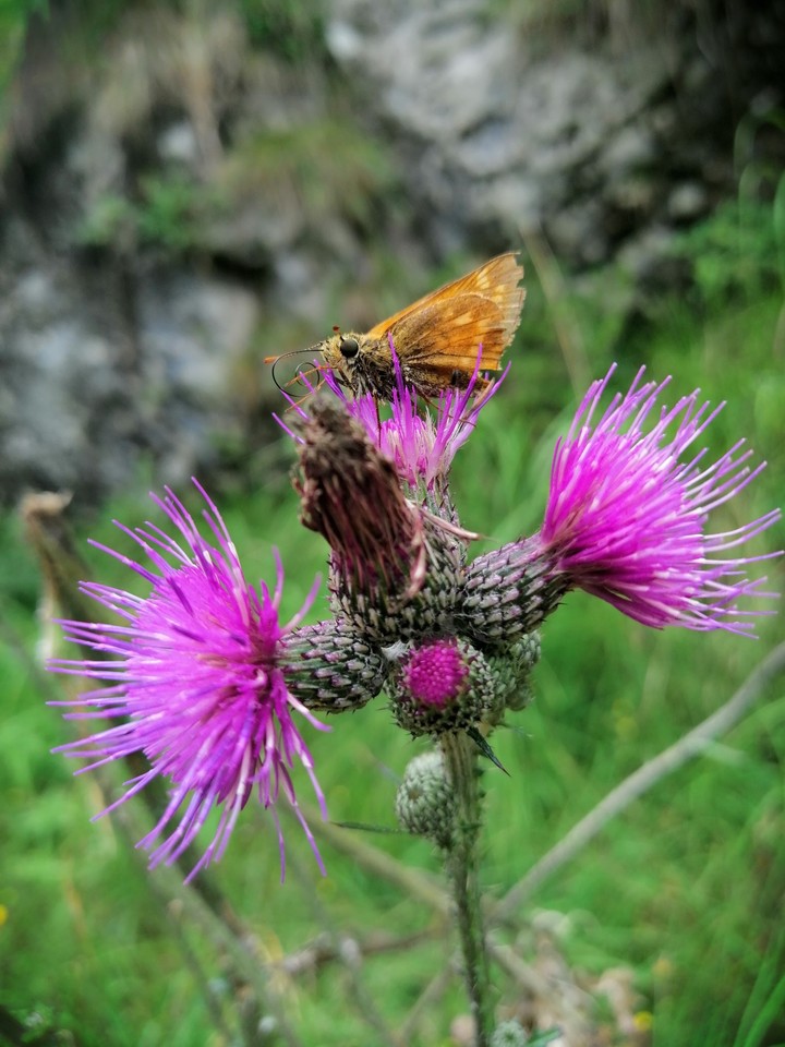 Amore è natura