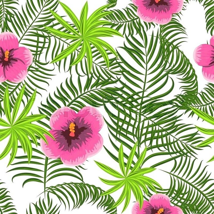 EXOTIC FLOWERS AND LEAVES