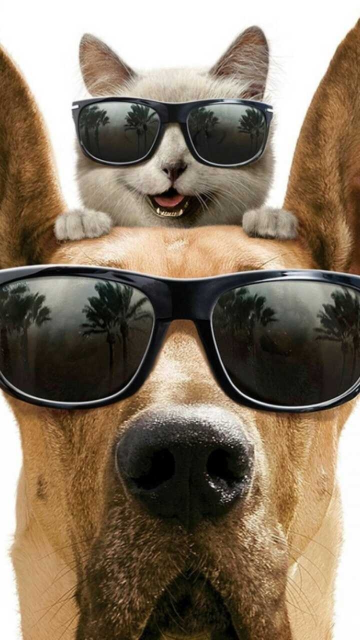 ёу