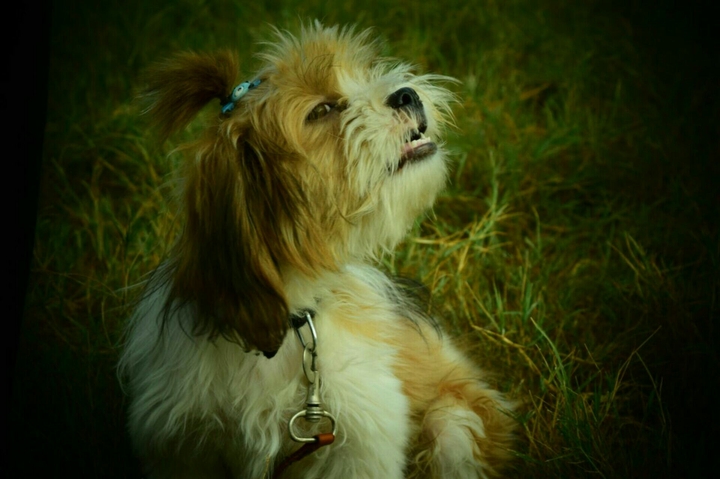 cutiee