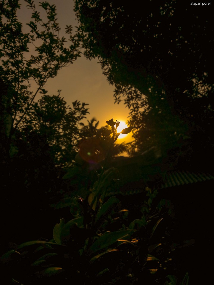 After a long sunny day.
