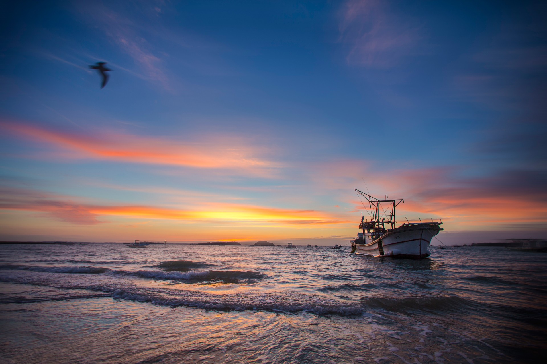 Toward a full load of fish
