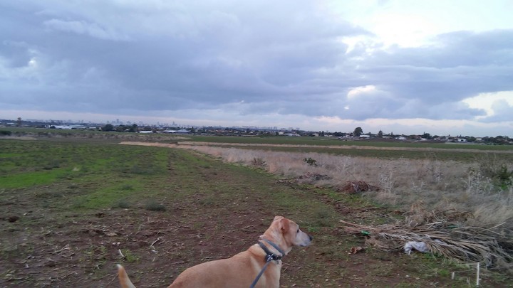 sky
