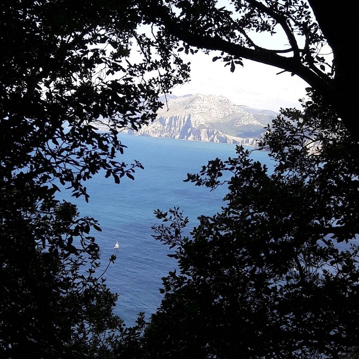 natuur in spanje