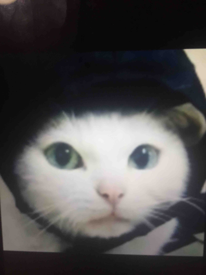 忍び？