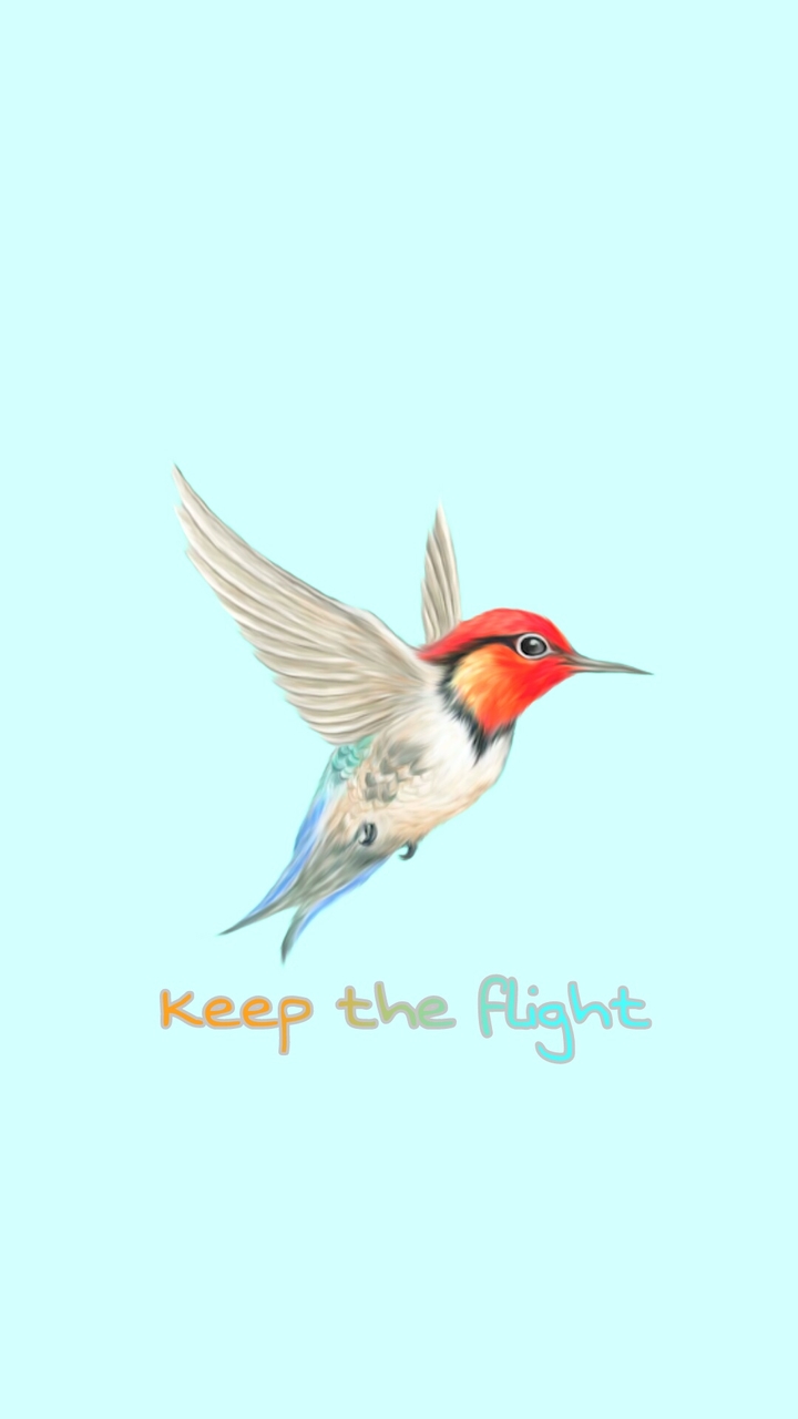Keep The Fligth