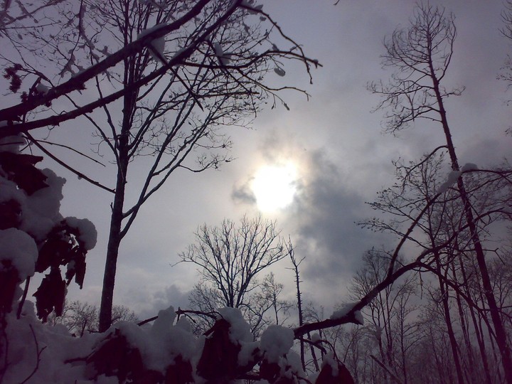 Winer sky