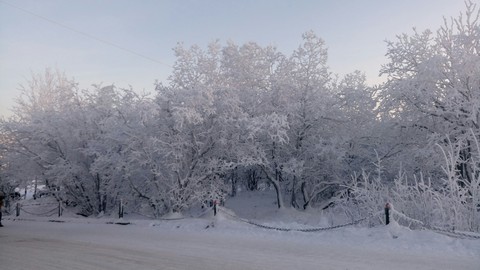 Russian winter