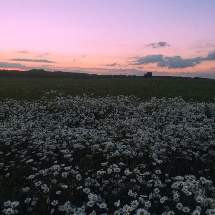 beautiful