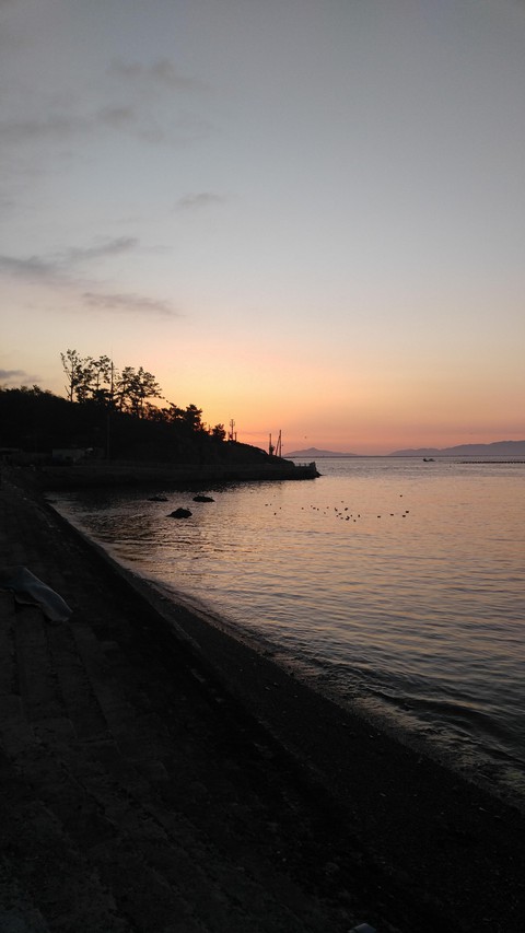 Dawn sea