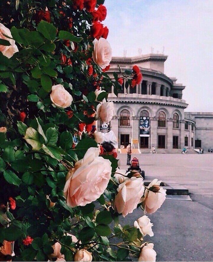 Armenia
