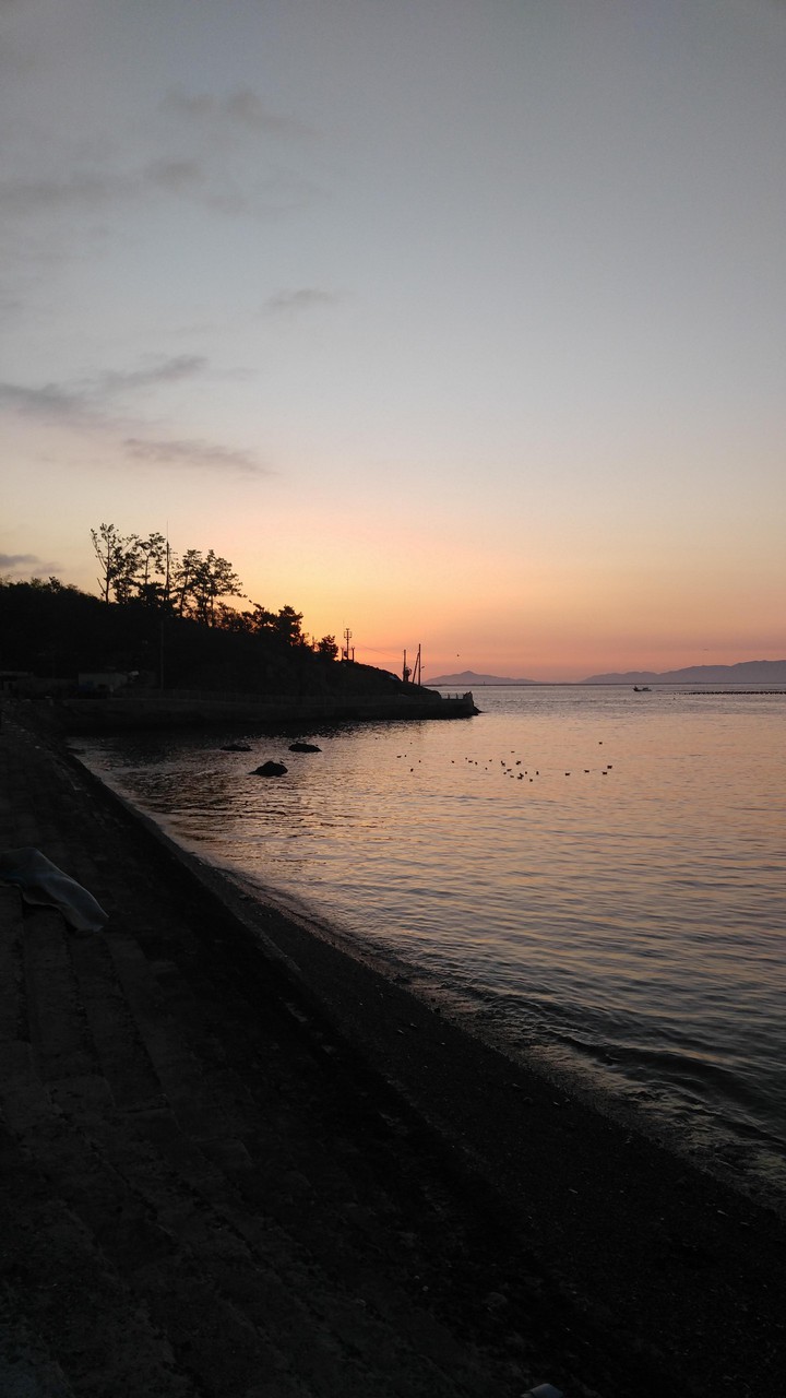 Dawn sea