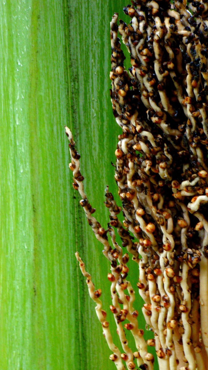 Texturas