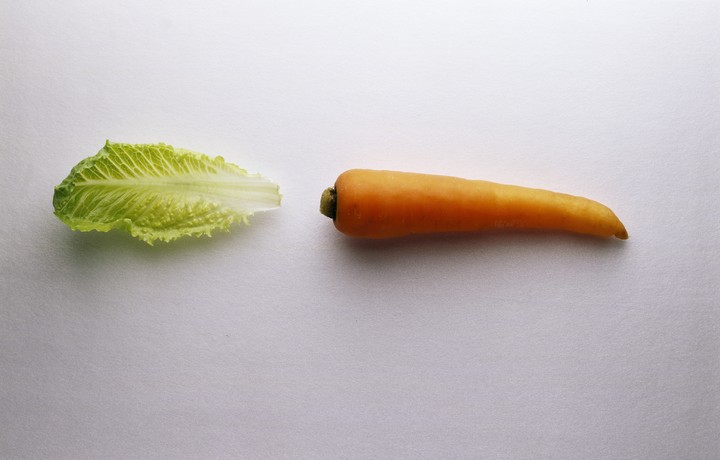 음식이미지