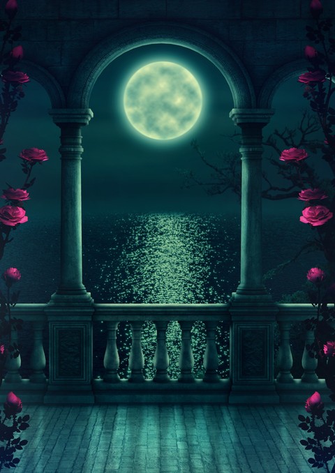 Dreamy Moonlight