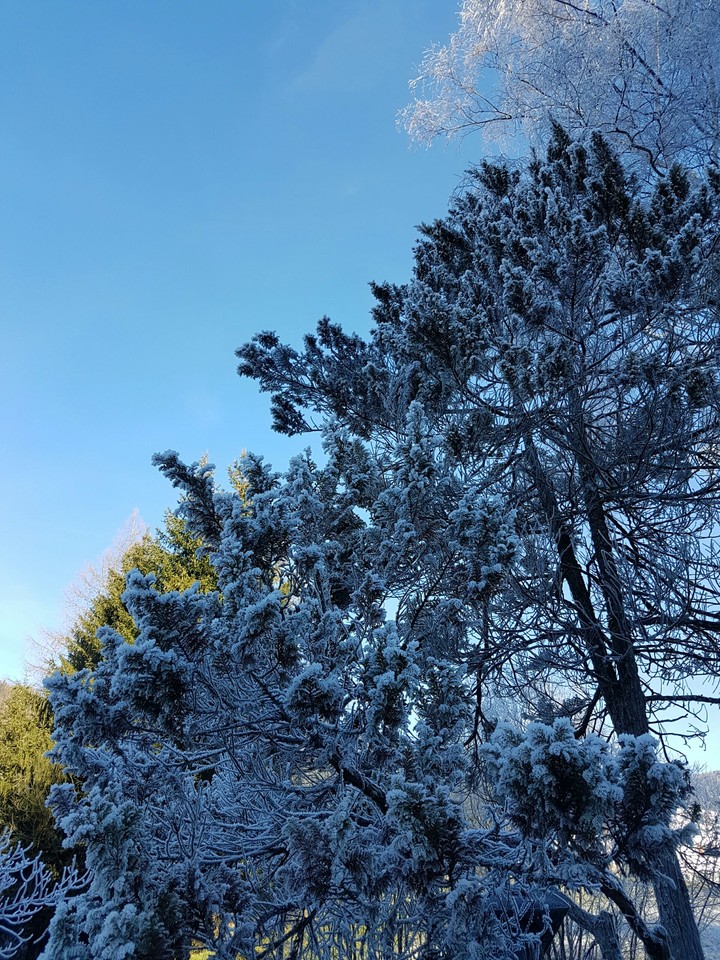 winter