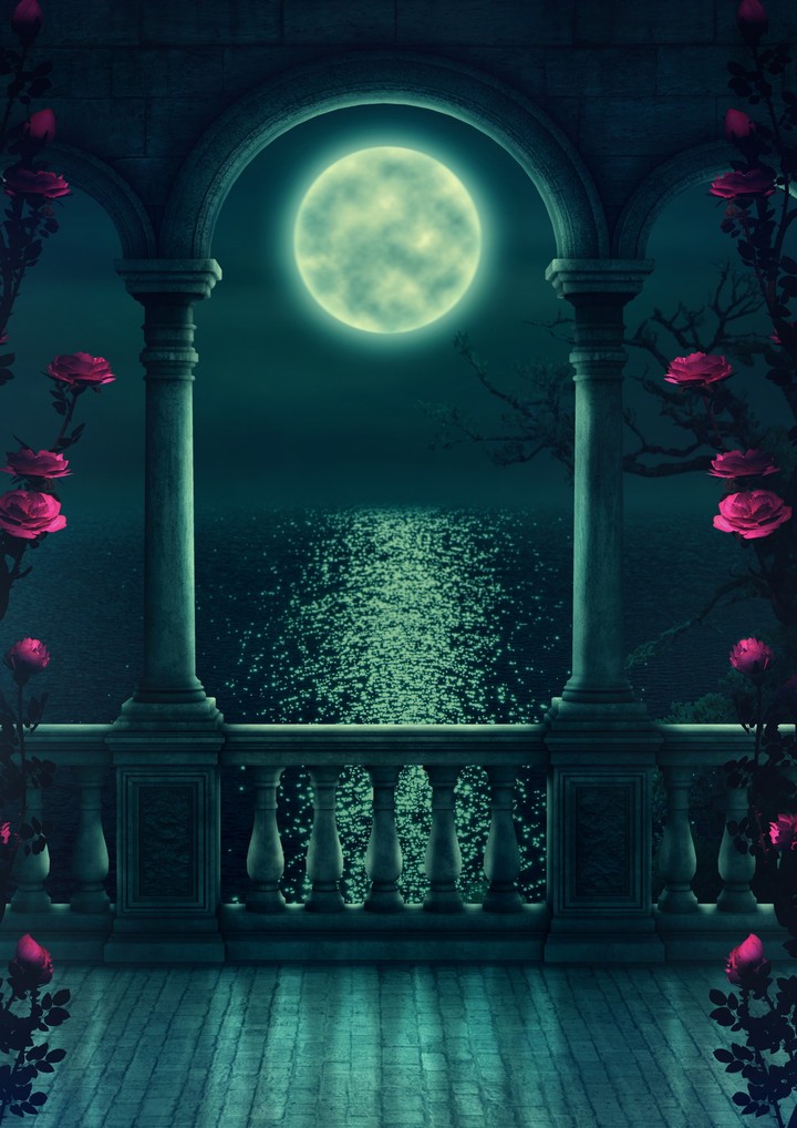 Dreamy Moonlight