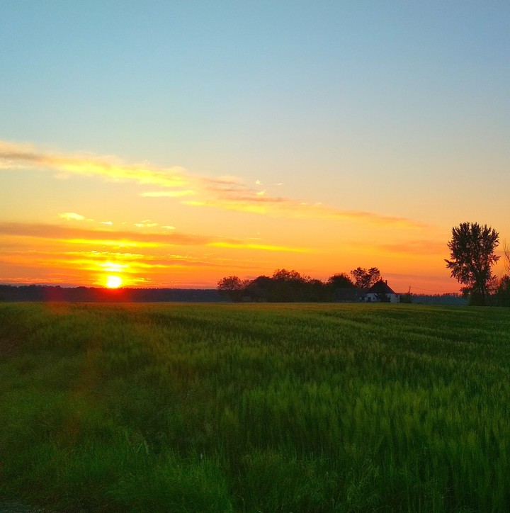 sunset
