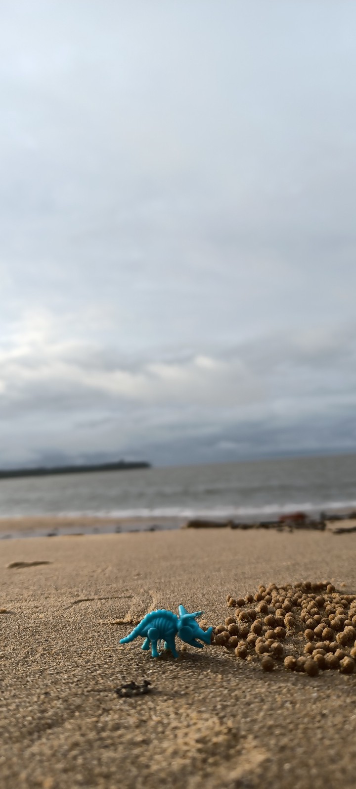 Pasir Panjang Beach