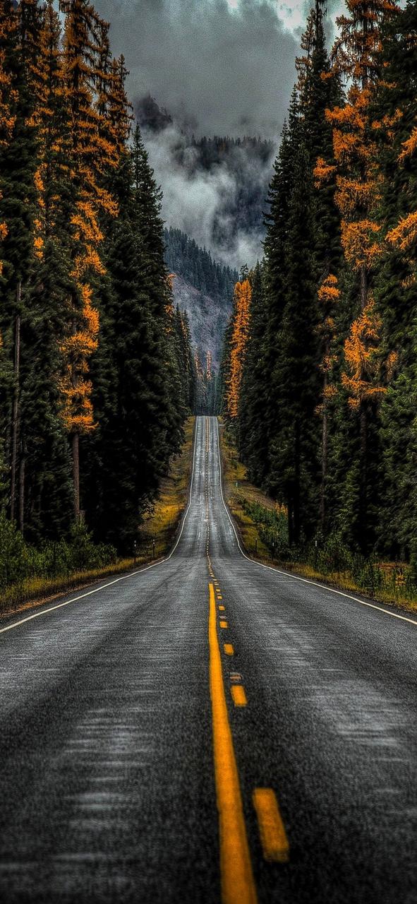 way