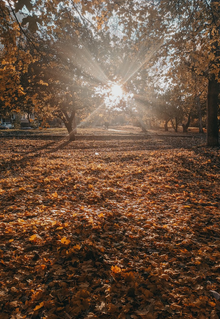 sun