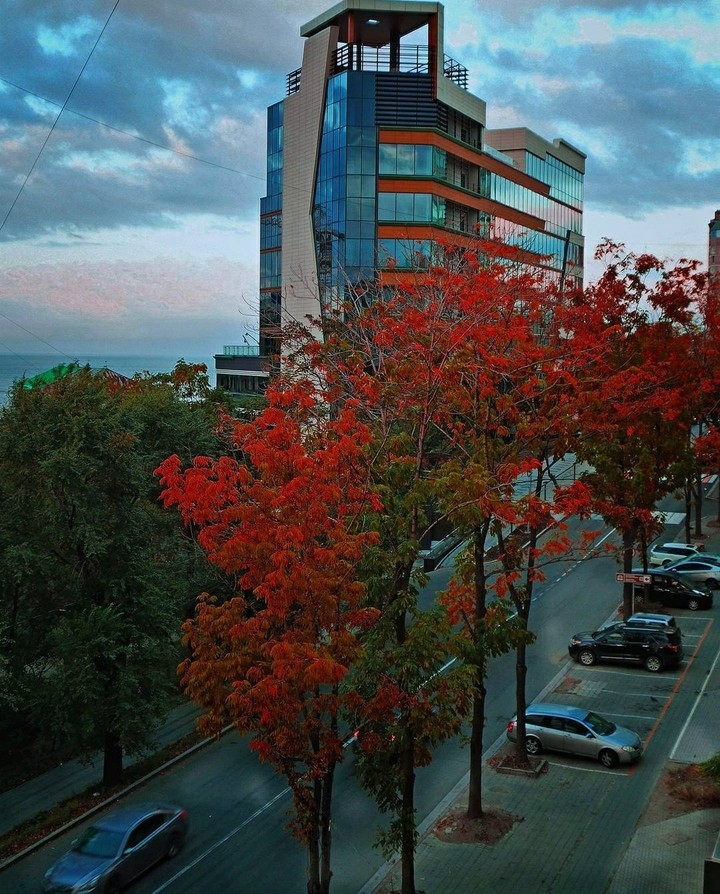 Vladivostok city