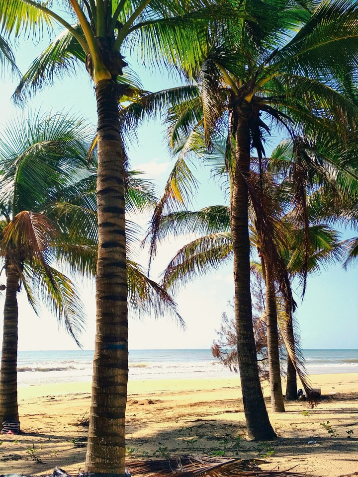 Ocean beach