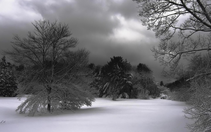 winter