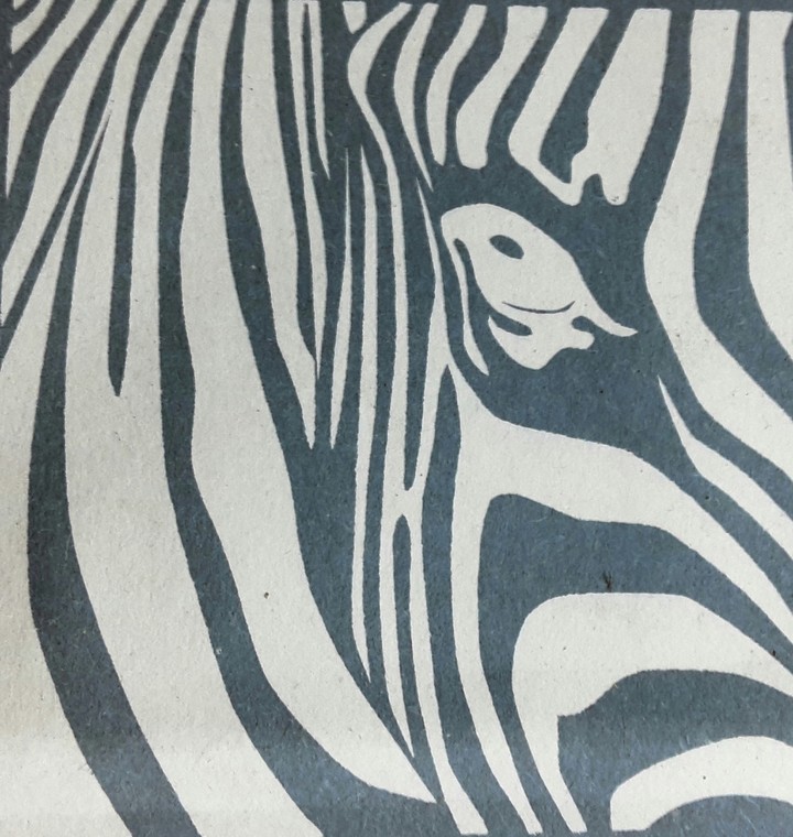 Zebra Negative