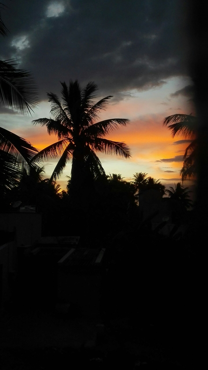 sunset in evening