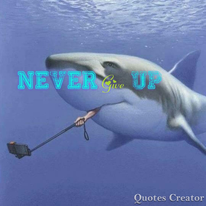 Quote