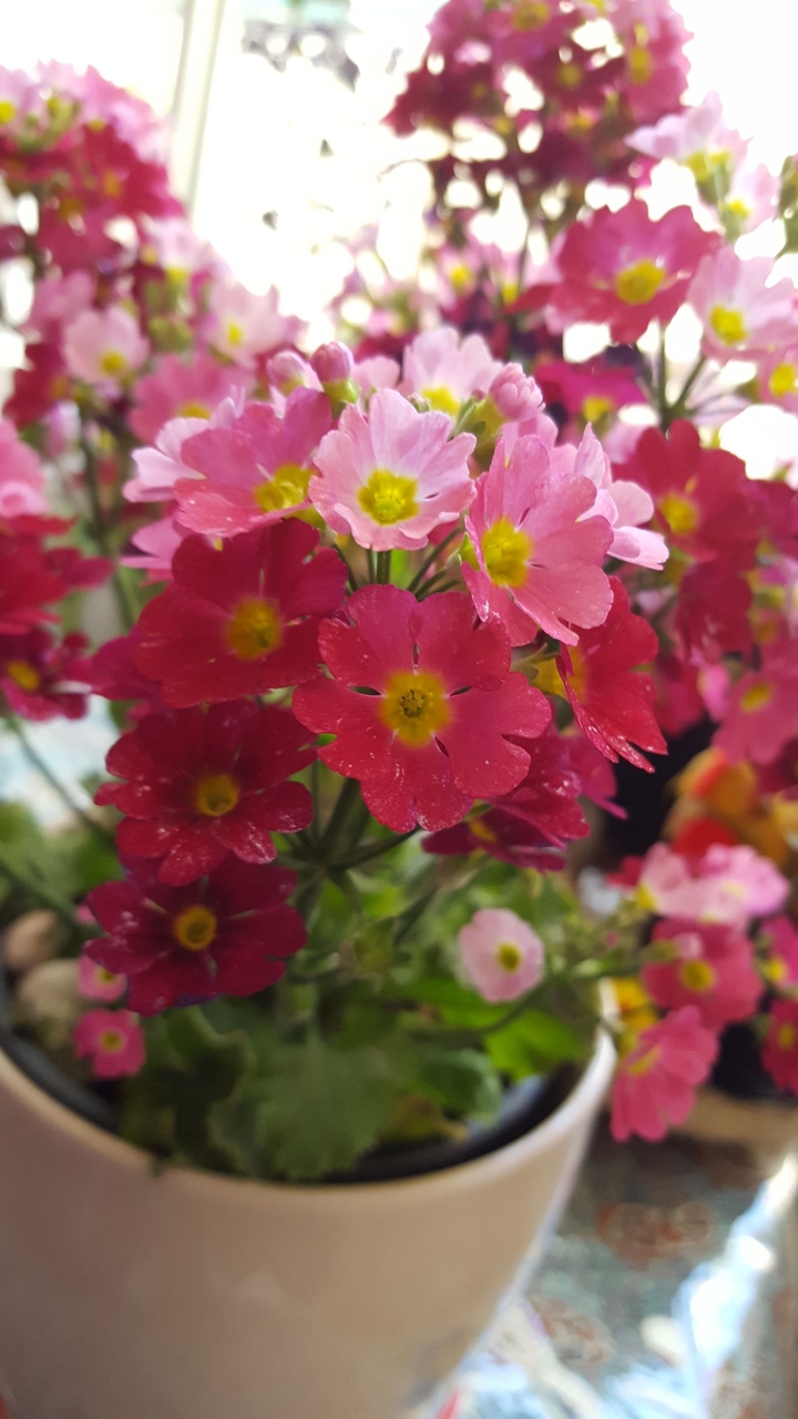 tiny flowers