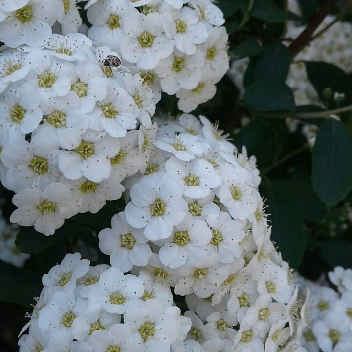 May-is the best month