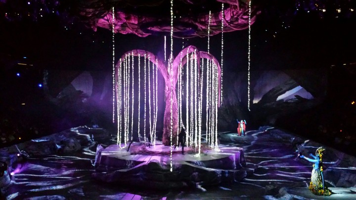 CIRCE DE SOLEIL TORUK