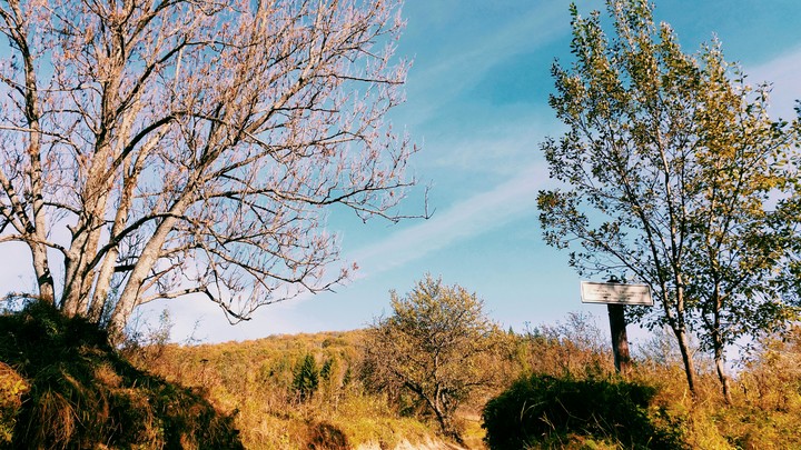 beautiful October