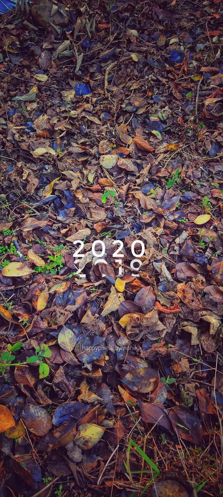 Happy New year